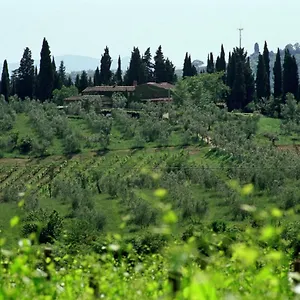  Casa di campagna Fattoria Casa Sola Italia